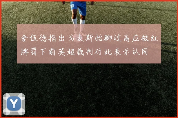 舍伍德指出戈麦斯抬脚过高应被红牌罚下前英超裁判对此表示认同