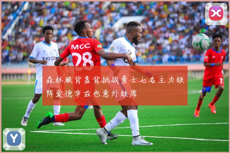 森林狼背靠背挑战勇士七名主力缺阵爱德华兹也意外缺席