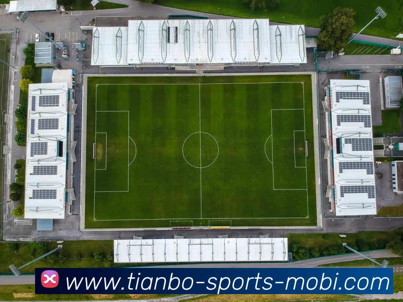 多媒体互动体验